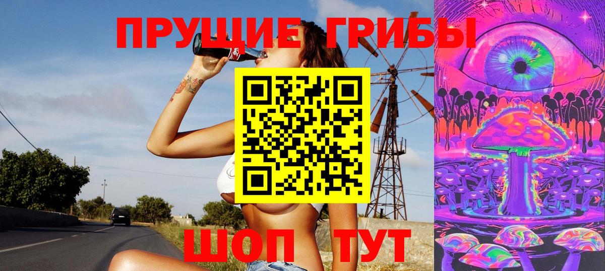 Псилоцибиновые грибы Cubensis Егорьевск